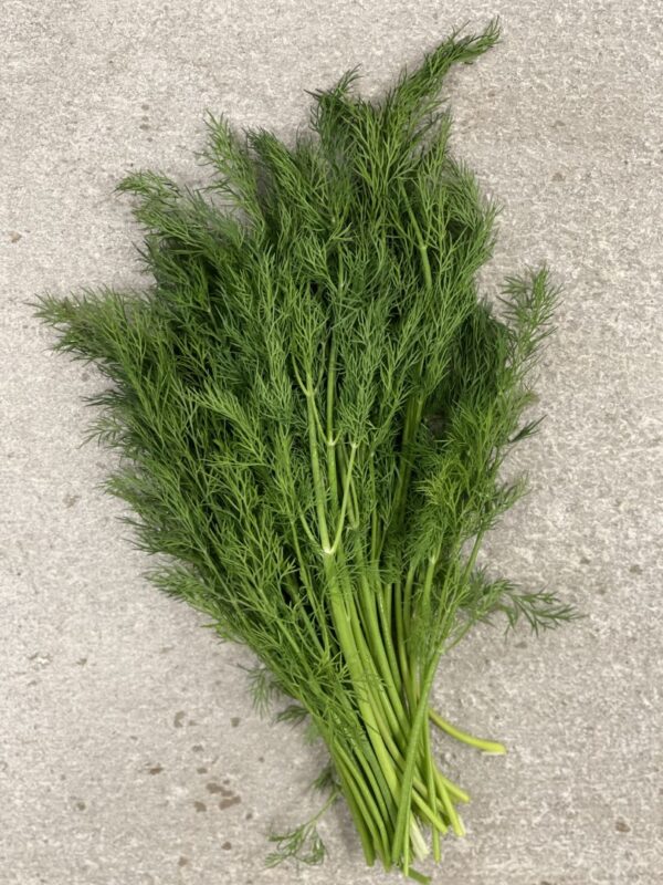 Dill Bunt