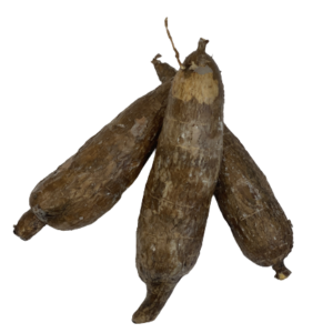 Cassava/ Khoai Mi  Costa Rica Kg